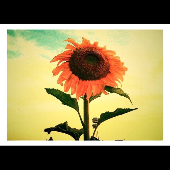 Meet your Posher, Cassie - Picture 8 of 8